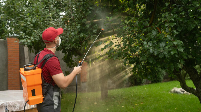 Sztuka świadomej uprawy: jak nowoczesne narzędzia zmieniają oblicze współczesnego ogrodnictwa